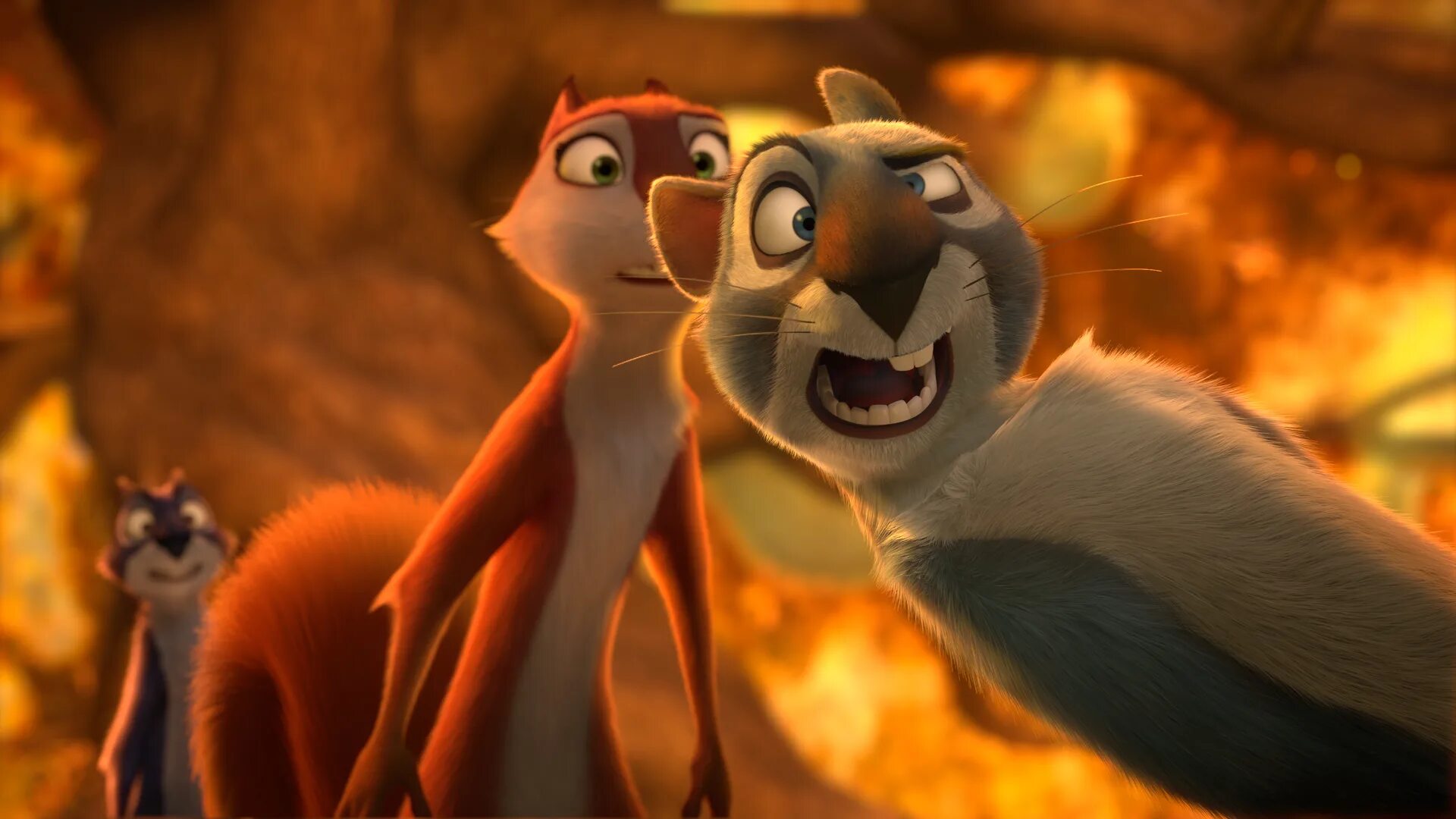 белка из мультика реальная белка. реальная белка мультфильм. мультфильм про белок. мультик про белку. про белочку анжелу.