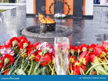 Над могилой в тихом парке расцвели тюльпаны