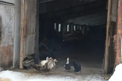 Кск объявления в красноуфимске