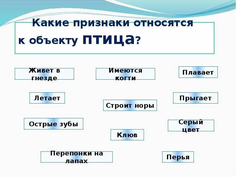 Изменение признака предмета. Признак предмета примеры. Схема признак предмета. Признаки объекта. Признаки объекта пример.