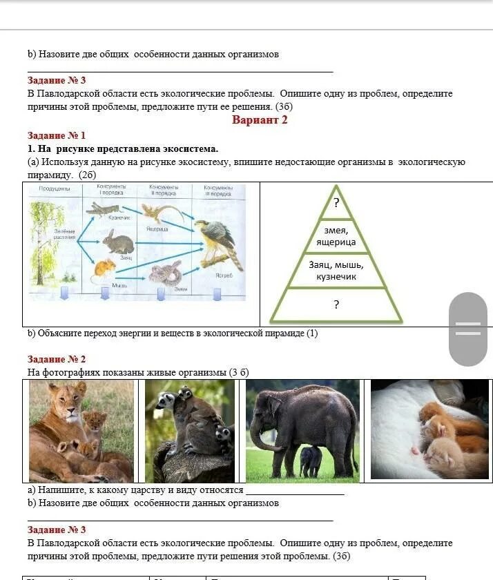 Сор по естествознанию 3 класс 2 четверть. Соч 3 класс 3 четверть по естествознанию. Сор по естествознанию 6 класс 3 четверть. Сор по естествознание 5 класс 4 четверть 2 сор. Задачка по естествознанию.