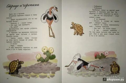 Черепаха как то раз на пригорок взобралась