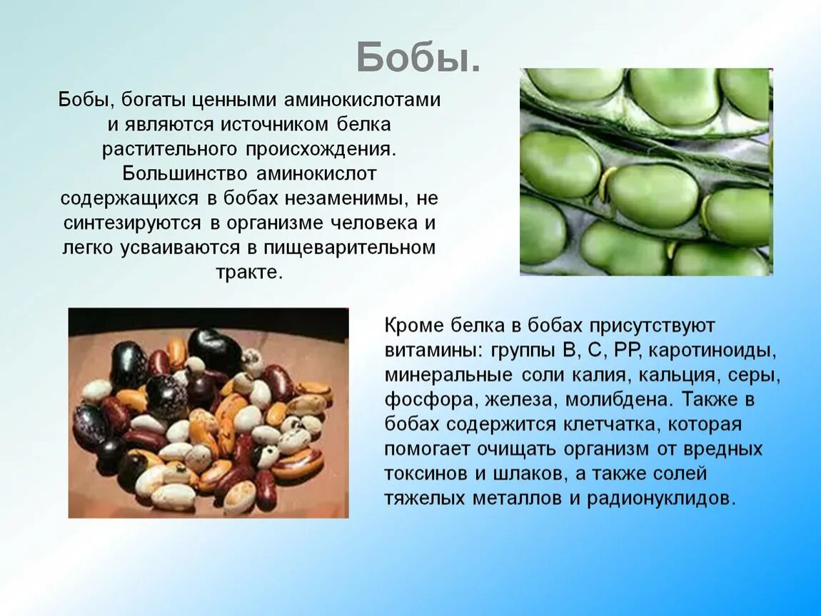 Каждая из которых является источником. Бобы являются источником. бобы являются источником растительного. источники белка растительного происхождения. растительный белок источники.