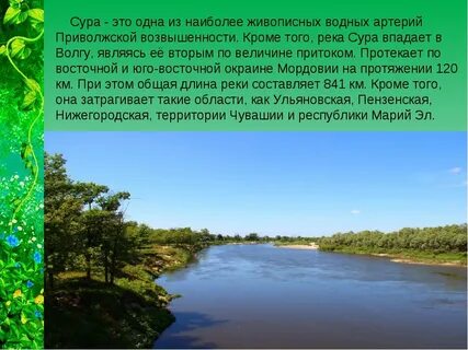 Сура вода