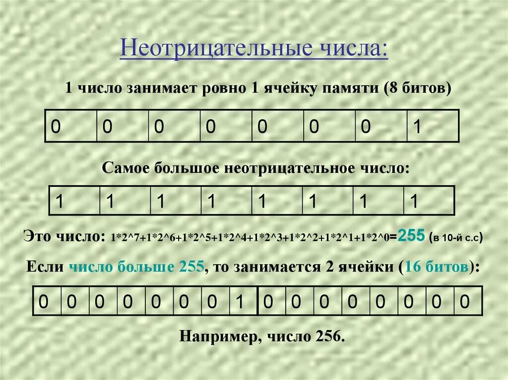Целые неотрицательные числа примеры Неотрицательные числа 6 класс Shtampik.com