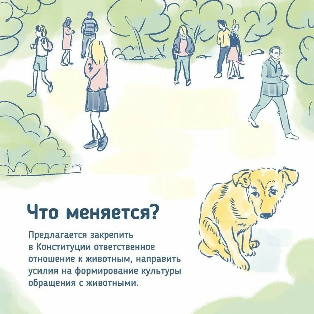 Формирование ответственного отношения к животным. Ответственное отношение к животным. проблема ответственного отношения к животным. ответственное отношение к животным рисунок. ответственное отношение к животным в конституции.