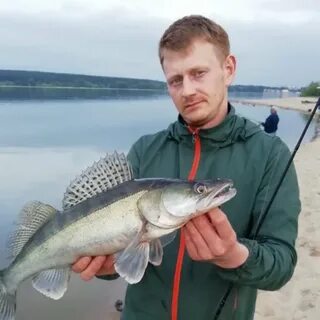 Профессионалов 25