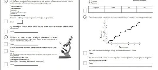 ВПР по биологии 5 класс 2021 с ответами. Задания ВПР 5 класс биология. ВПР по биологии 5 класс 2022 год. ВПР по биологии 5 класс 2022 с ответами.