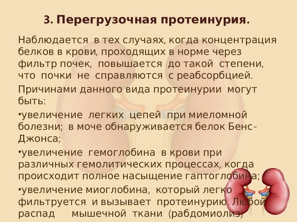 Может ли болеть одна почка. Болезни почек презентация. Как определить больные почки. Застудил почки симптомы.