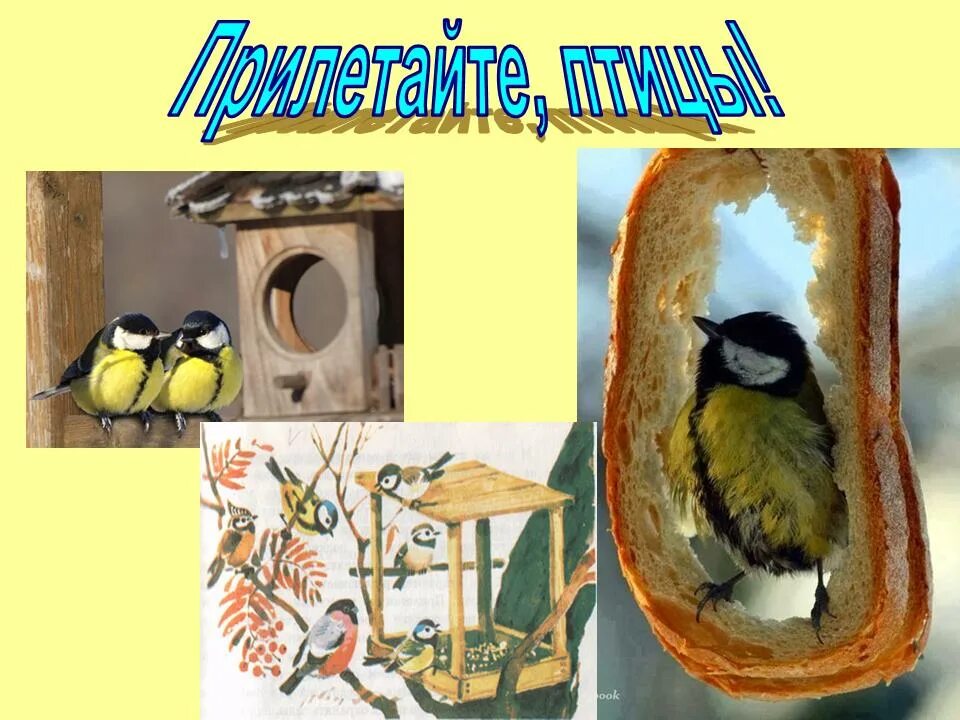 акция каждой пичужке по кормушке. каждой пичужке кормушка кормушки. экологической акции «каждой пичужке по кормушке». каждой пичужке кормушка акция. каждой пичужке кормушка акция в детском саду.