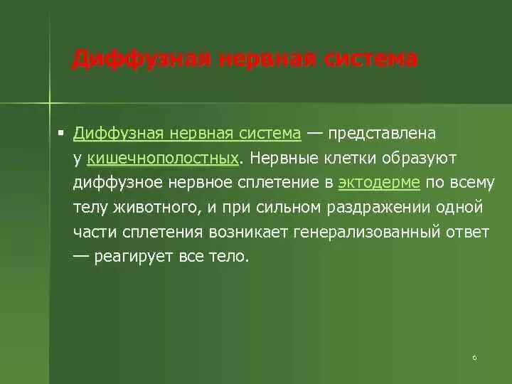 Диффузная нервная система. Нервная система диффузного типа. Особенности диффузной нервной системы. Характеристика диффузной нервной системы. Что обозначает диффузный