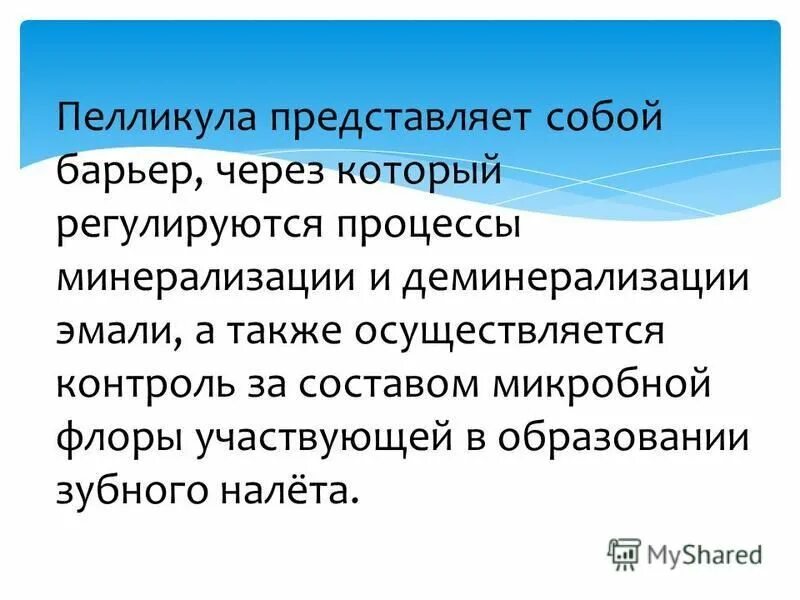 пелликула. пелликула это. пелликула клетки строение. состав пелликулы зуба. пелликула это.