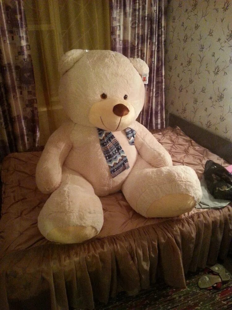 огромный плюшевый мишка. плюшевые игрушки. медведь плюшевый дома. плюшевый мишка. медвежонок, игрушка, на диване.