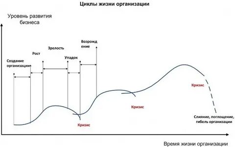 Цикл жизни организации