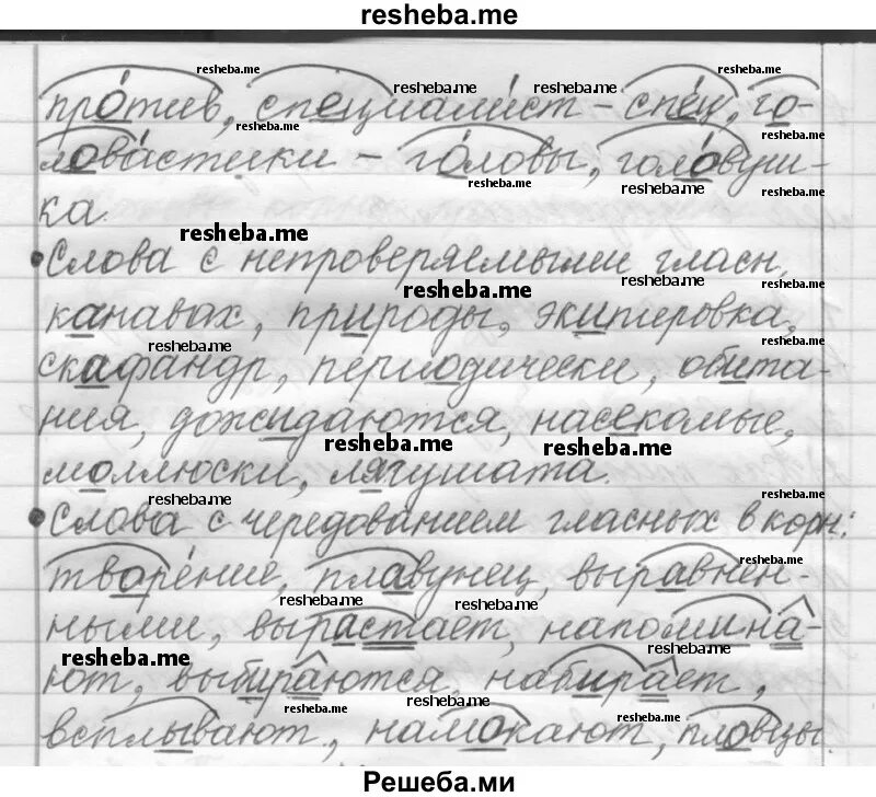 Русский шмелев шестой класс вторая часть. Повторение 6 класс русский язык Шмелев. Гдз по русскому 6 класс шмелёв. Гдз по русскому 6 класс шмелёва 2. Гдз шмелёв 6 класс 2 часть.