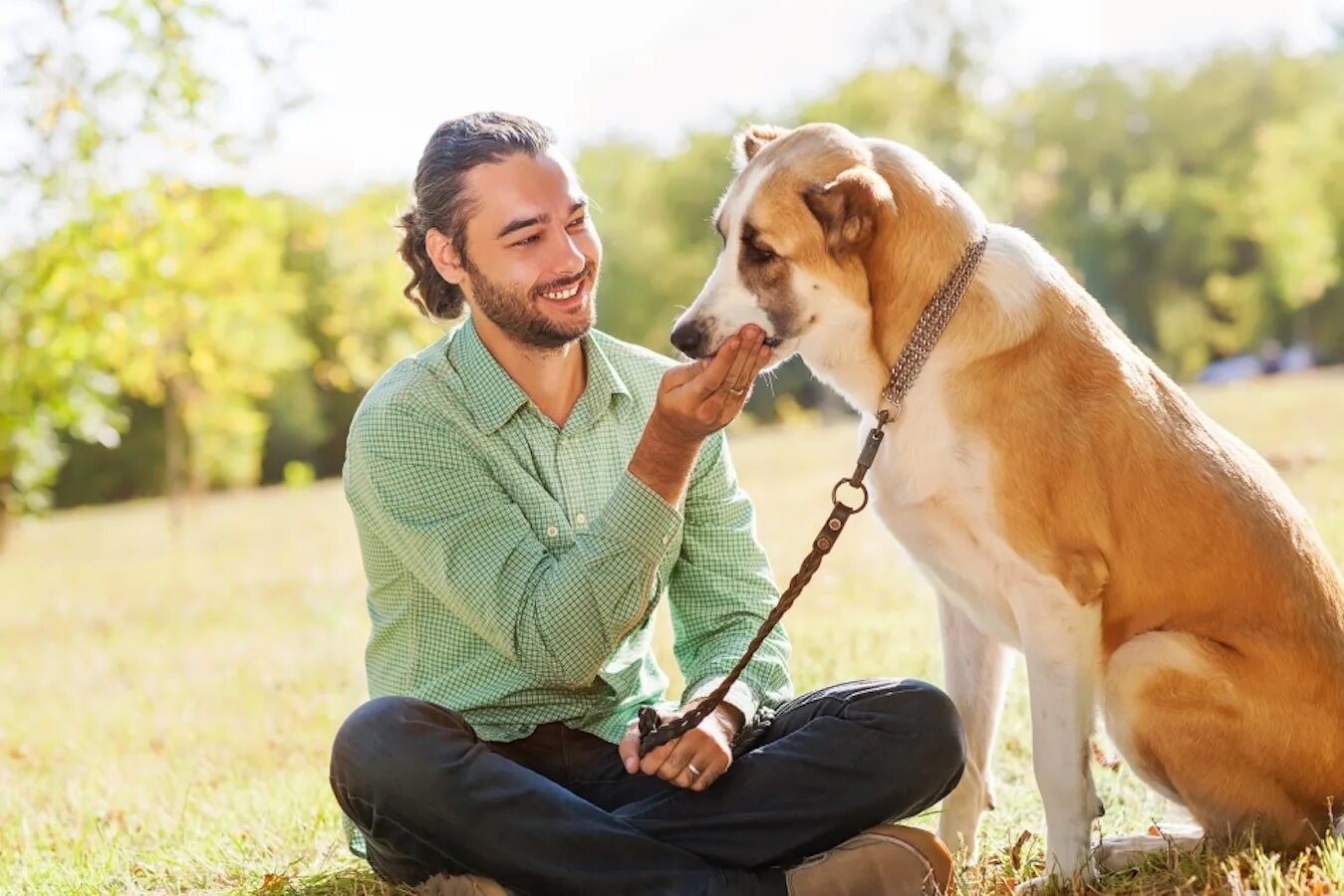 Хозяин собаки. Человек с собакой. Мужчина с собакой. Люди и животные. Pet owner