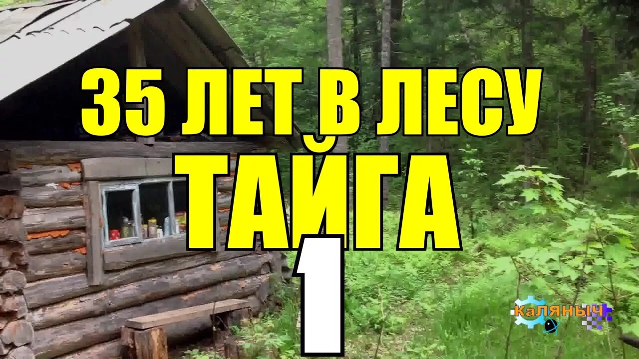 Жизнь в глухой тайге видео. КАЛЯНЫЧ 35 лет в тайге. Тридцать пять лет в тайге. Жизнь отшельников в глухой тайге. Рассказ 35 лет в тайге.