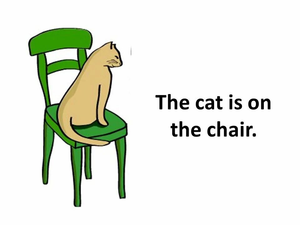 The cat is the chair. The Cat is on the Chair. Cat is in the Chair. The Cat is the Armchair. Стул с рисунком животных.