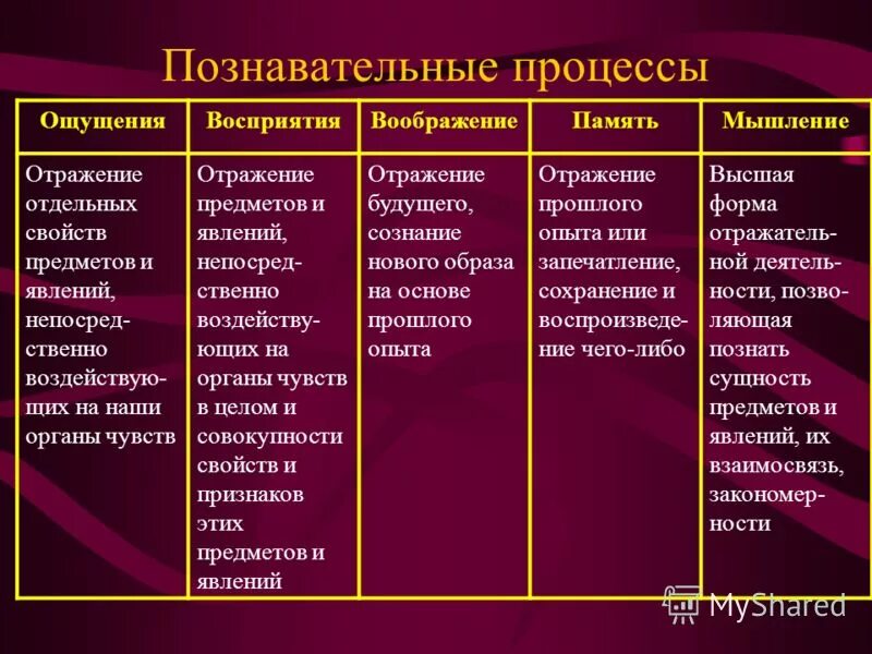 Ощущение представление пример