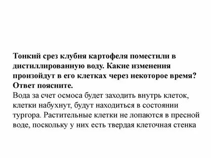 Тонкий срез