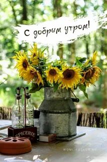 С новым днем оригинальные картинки