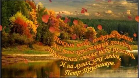 Настала осень золотая природа трепетна