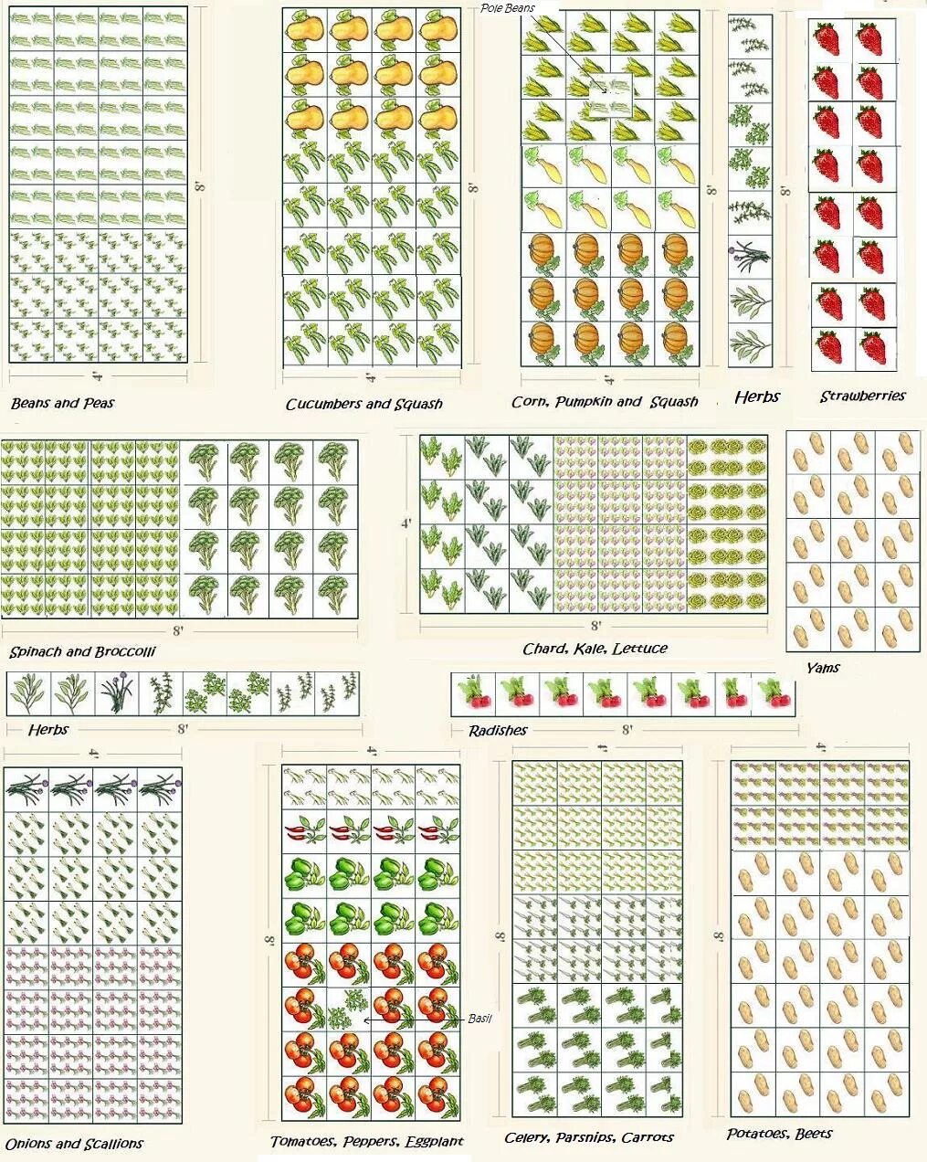 Примеры посадки овощей. Совместная посадка овощей на одной грядке схема. Схемы посева и посадки овощных культур. Схема посадки зелени на смешанной грядке. Совместные посадки на грядке схема посадки.