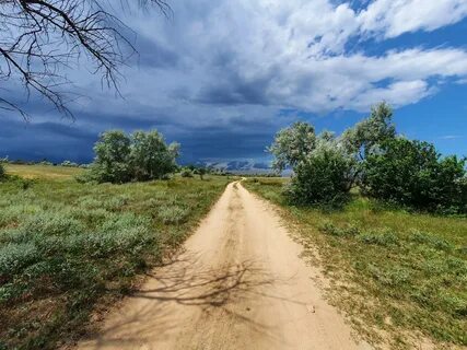 Песни по проселочной дороге