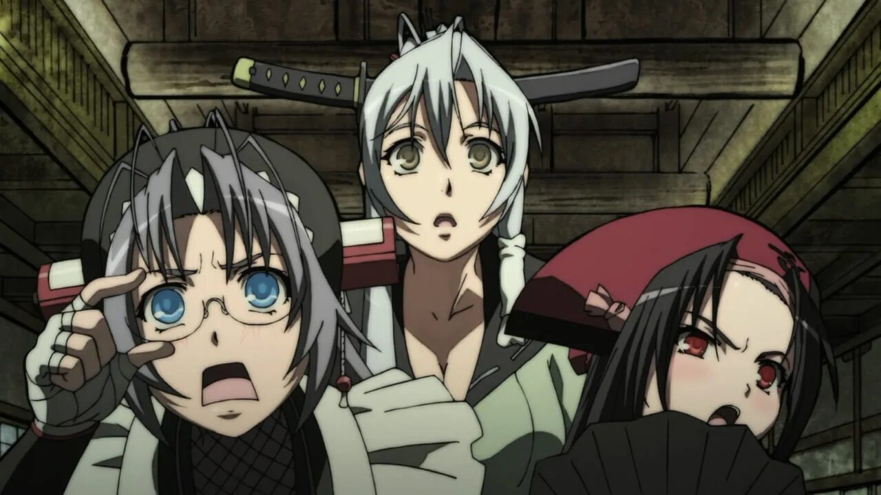 Сад девушки самураи. Аниме hyakka ryouran. Самурай невеста hyakka ryouran. Сад 1000 цветов девушки самураи. Сад тысячи цветов: девушки-самураи / hyakka ryouran: samurai girls.