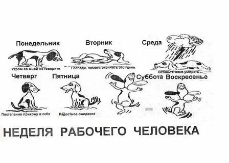 На какой неделе рабочая суббота