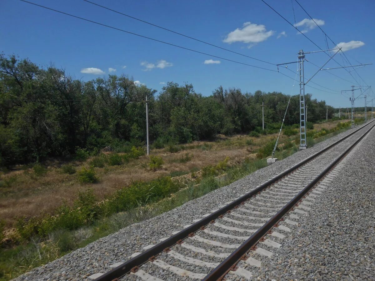 курск-санкт-петербург. поезд волгодонск адлер маршрут. расписание электричек. расписание маршруток зимовники волгодонск волгодонск зимовники. расписание поездов зимовники.
