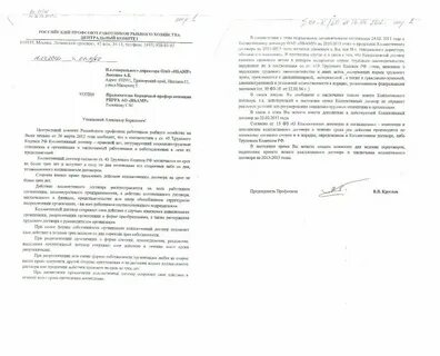 Направлено в вышестоящую инстанцию