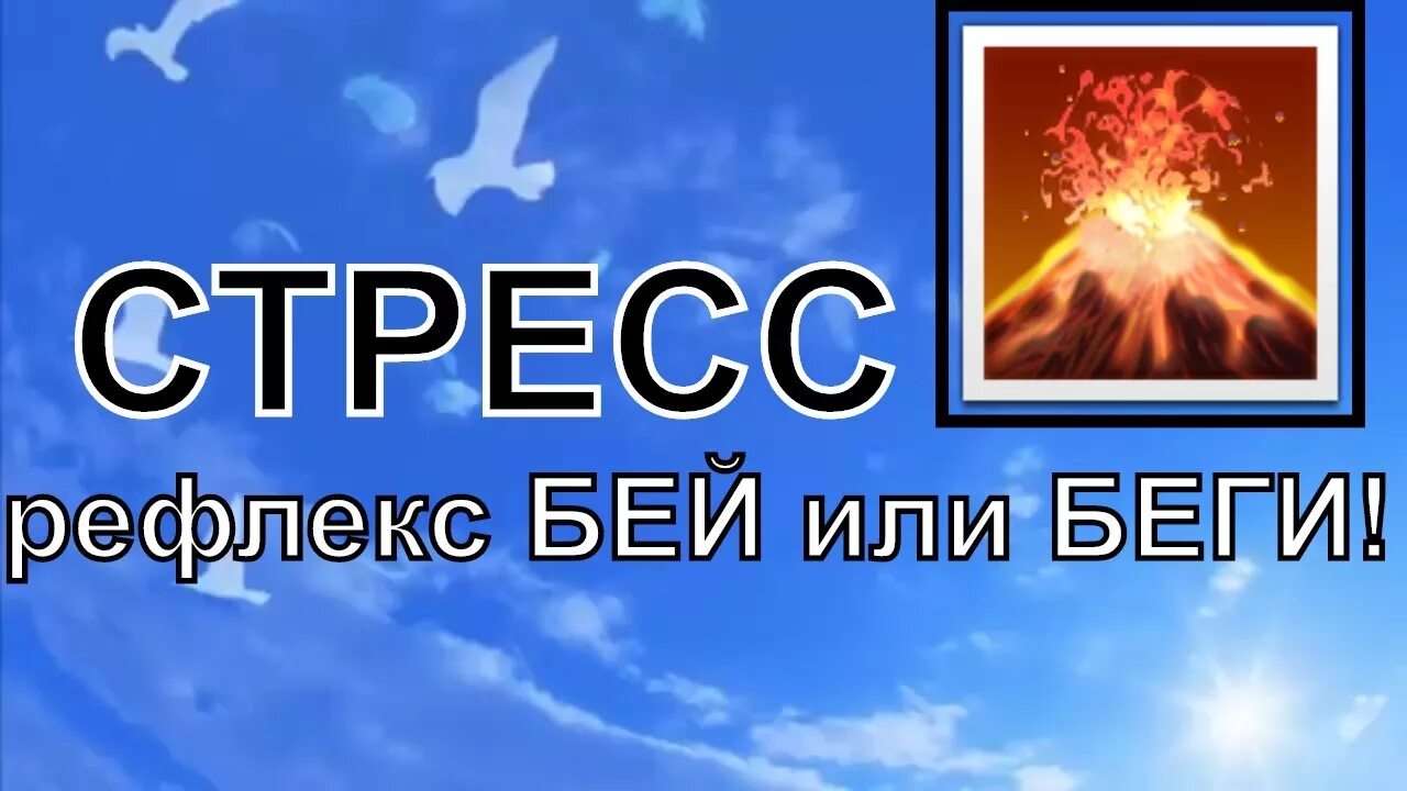 Беги стресс реакция замри