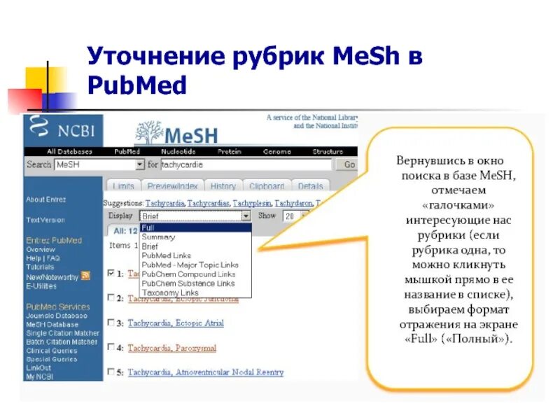 Проект звезда недели в детском саду. Интересные факты о книгах и чтении. Школьная газета рубрики. Образ россии в отечественном/зарубежном кинематографе. Формальный заголовок предметной рубрики.