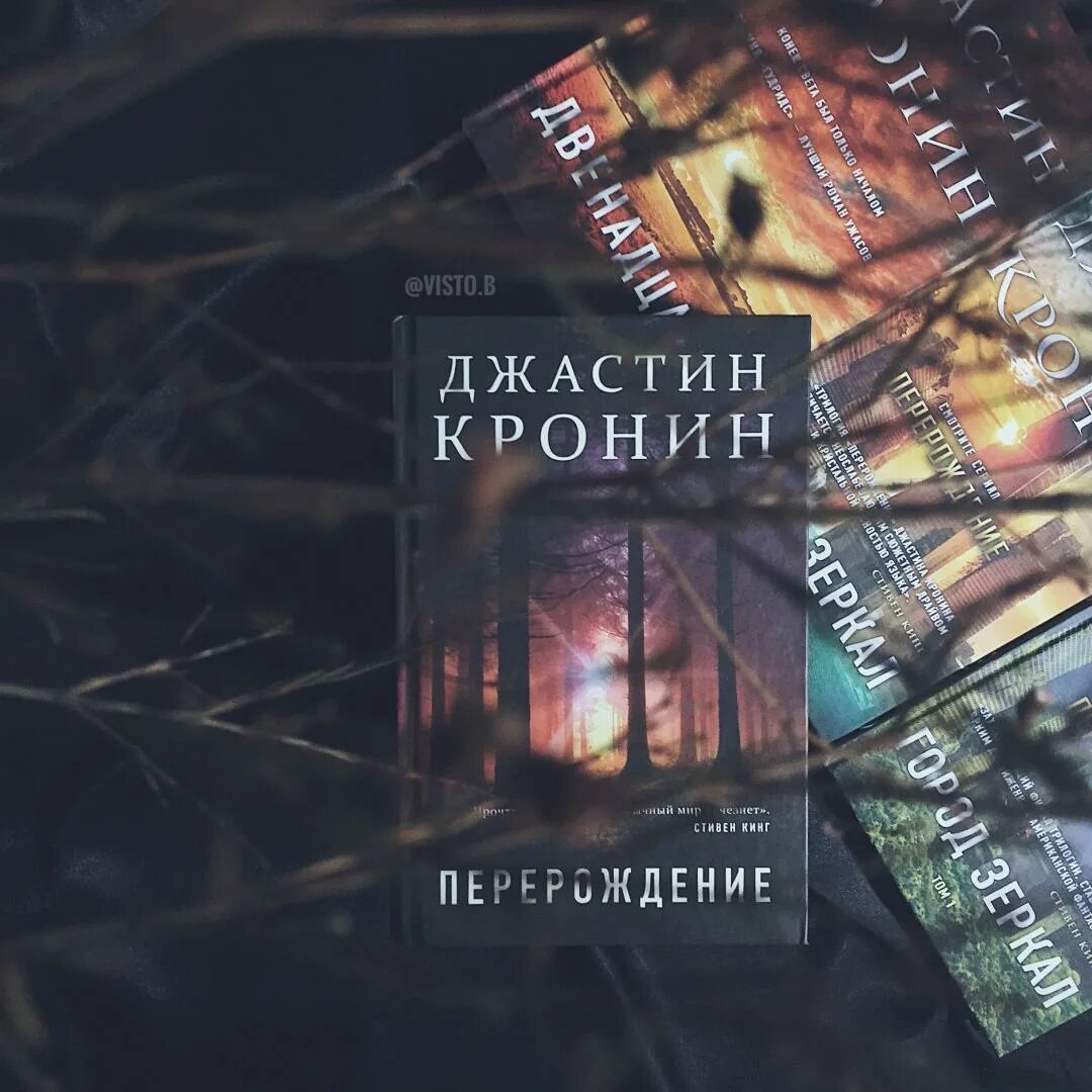 Перерождение книга 1. Джастин кронин перерождение. Перерождение книга 1. Перерождение книга 1. Перерождение книга 1.