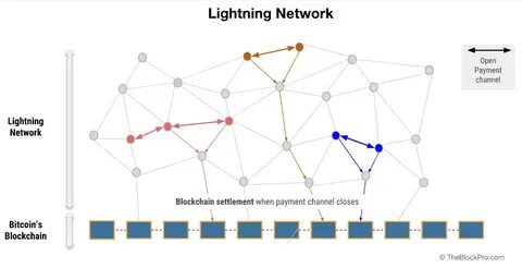 Network weights