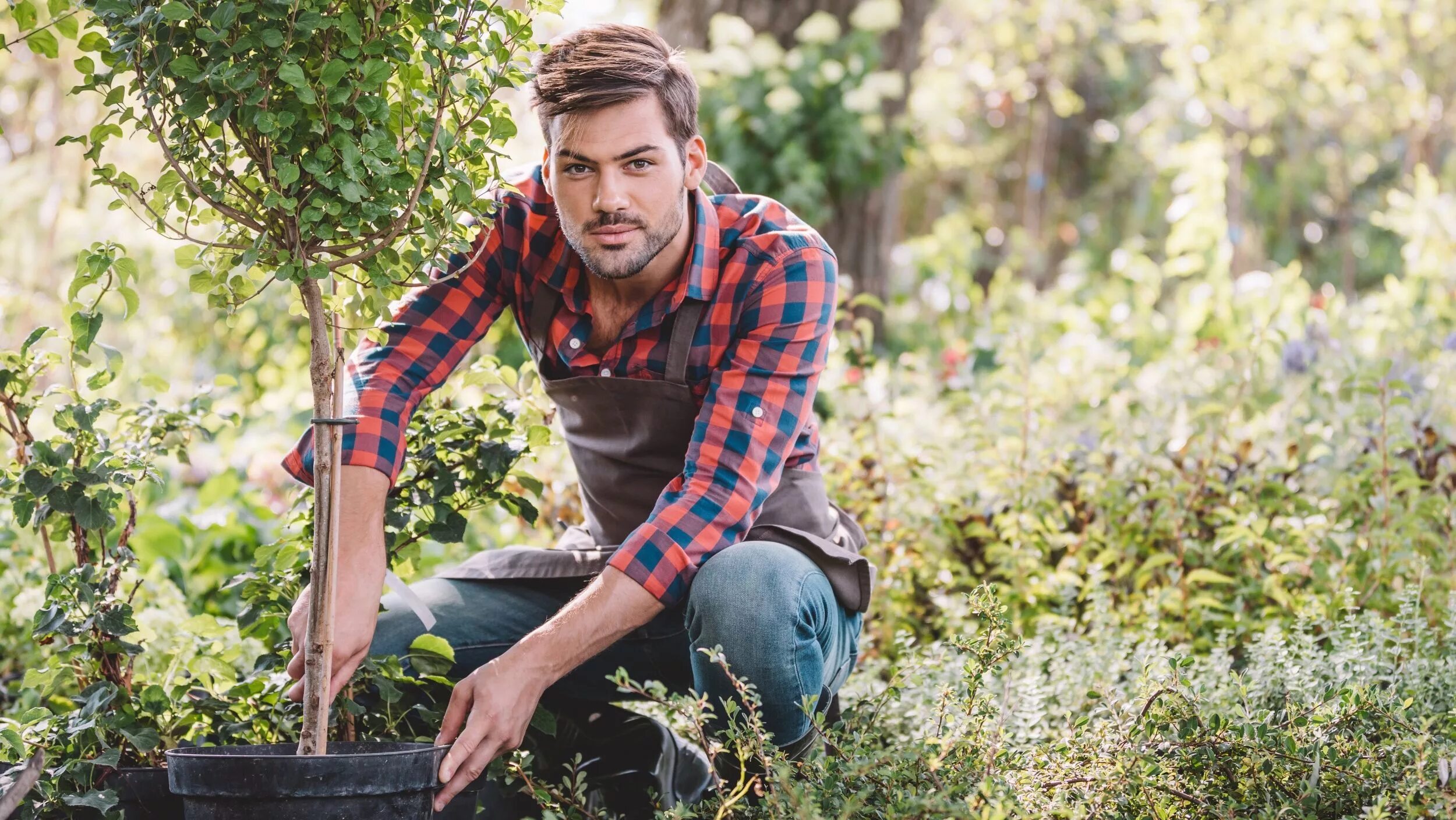 He is working in the garden