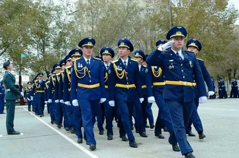 Висво