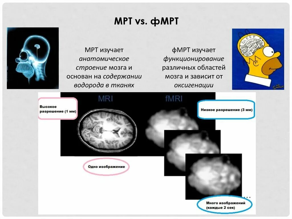 Чем отличается кт от мрт головного. Мрт и фмрт разница. функциональная мрт. разница кт и мрт исследований. различие между кт и мрт.