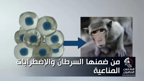 После клонирования