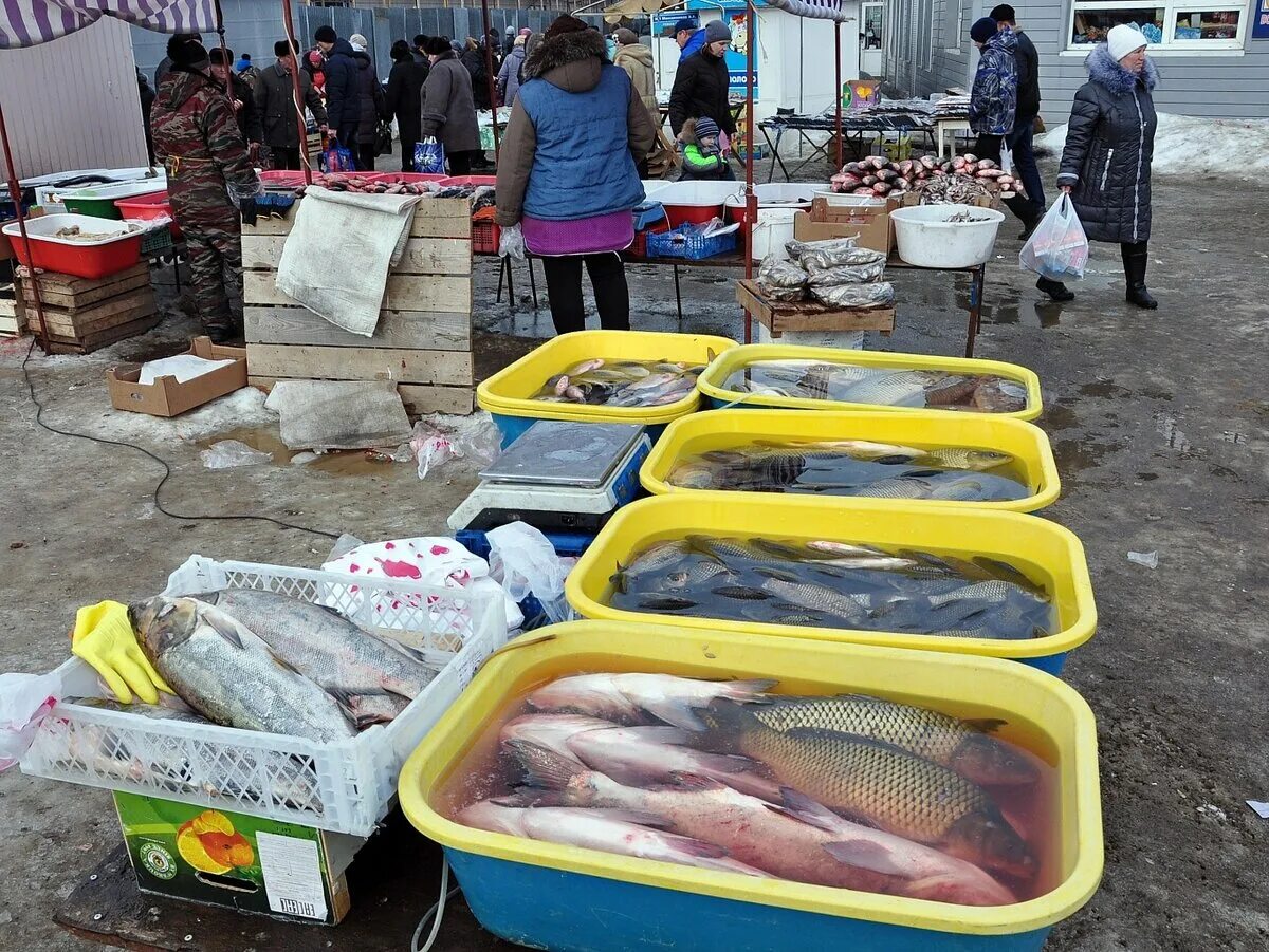 Рынок живая рыба. Рыба на рынке. Торговля рыбой. Рыба на базаре. Уличная торговля рыбой.