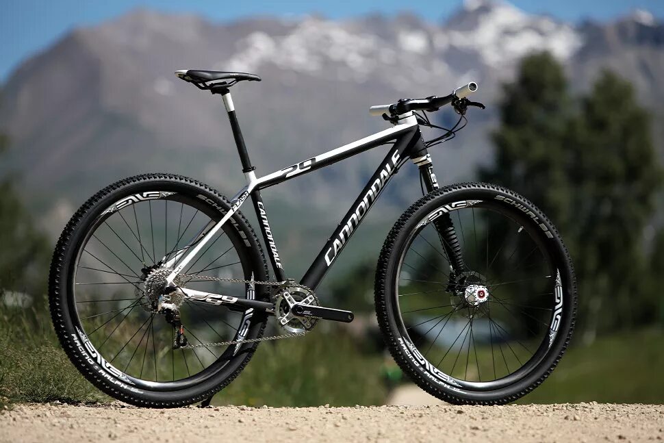 Cannondale Flash 29. Горный велосипед Канондейл. Велосипед горный Конан Дойл. Конан Дойль велосипед. V 29 3