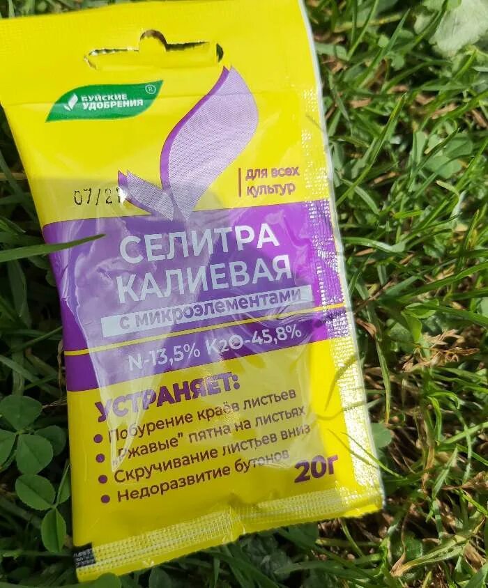 Калиевая селитра для чего применяется томатов. Калиевая селитра для чего применяется томатов