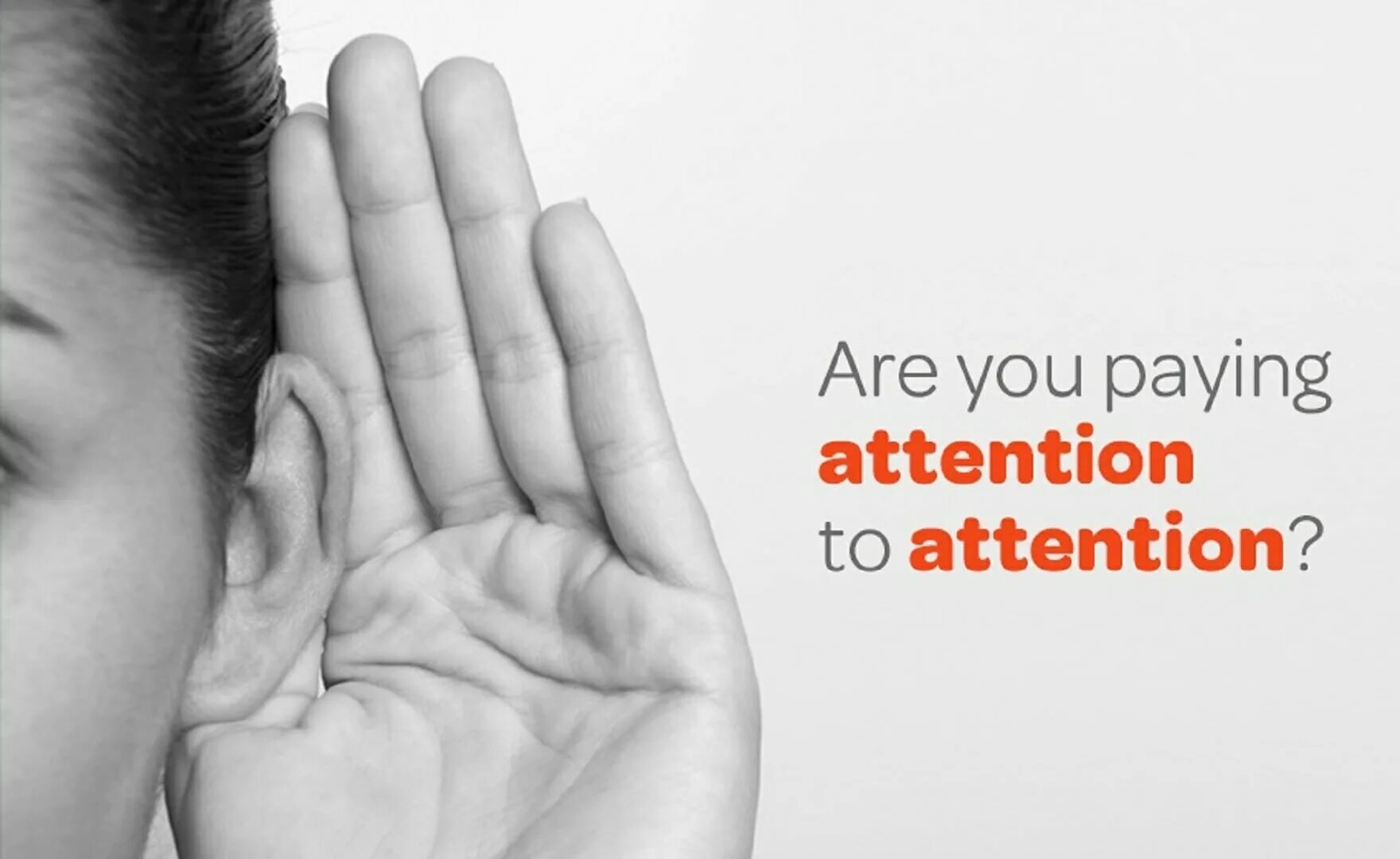 Pay little attention. Pay attention. attention фото. paying attention. постер attention.