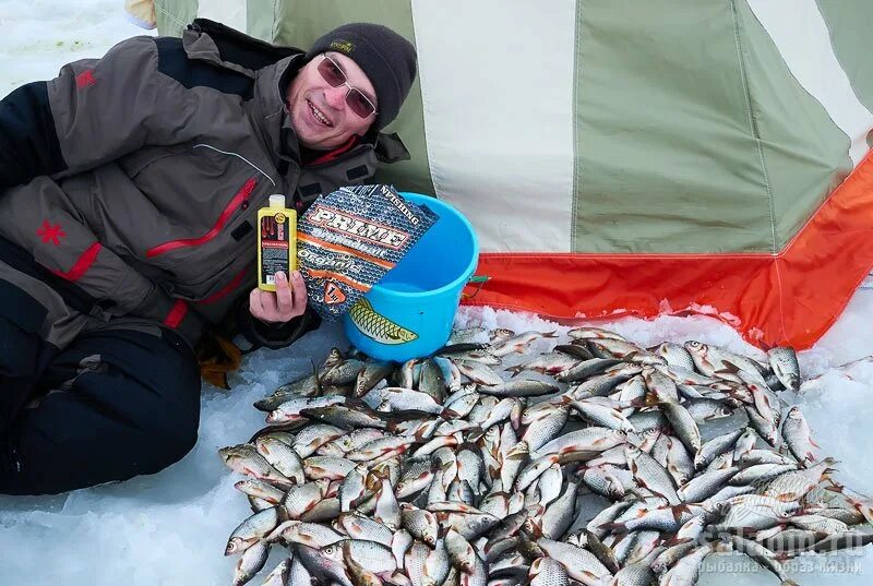 Зимняя рыбалка улов. Улов рыбака зимой. Зимняя рыбалка огромный улов. Большой улов на зимней рыбалке. Улов казань