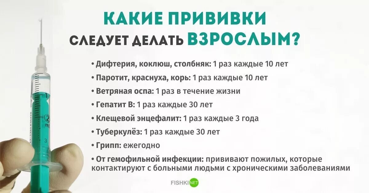 Вакцинация. Прививки от гриппа. Какие прививки делают взрослым. Какие прививки делают взро лым. Вакцина отзывы врачей