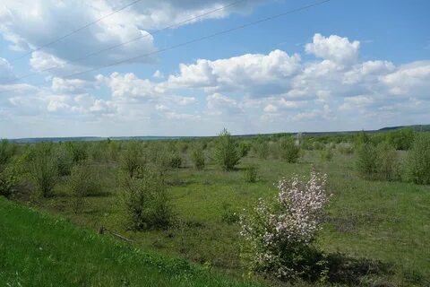 Верхние поляны