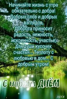 Пожелания доброго дня с цитатами