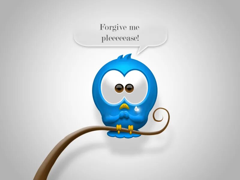 Message bird. Message bird