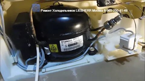 Ремонт холодильника либхер москва ремсити